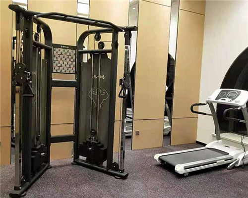 文登動健 講解運動器材對我們身體健康有哪些好處？